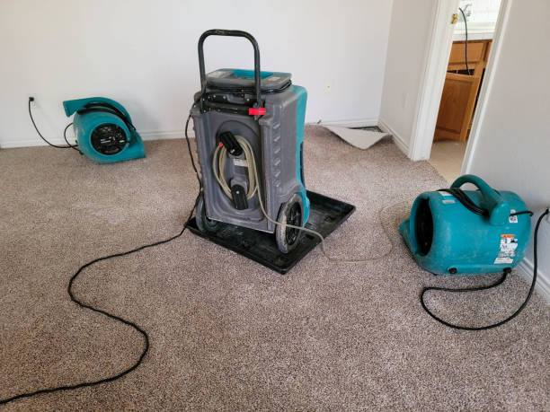 Best Water damage restoration specialists  in Fairfield, TX