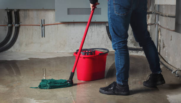 Best Water damage cleanup near me  in Fairfield, TX