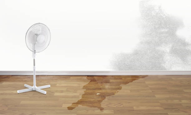 Water damage restoration process in Fairfield, TX