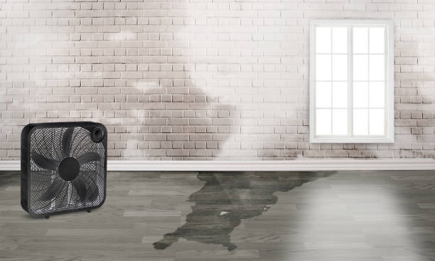 Best Flood restoration services  in Fairfield, TX