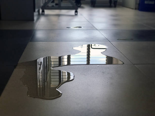 Best 24-hour water damage restoration  in Fairfield, TX