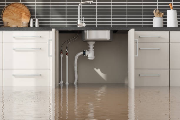 Best 24/7 water damage repair  in Fairfield, TX