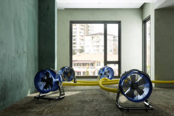 Reliable Fairfield, TX Water damage restoration Solutions